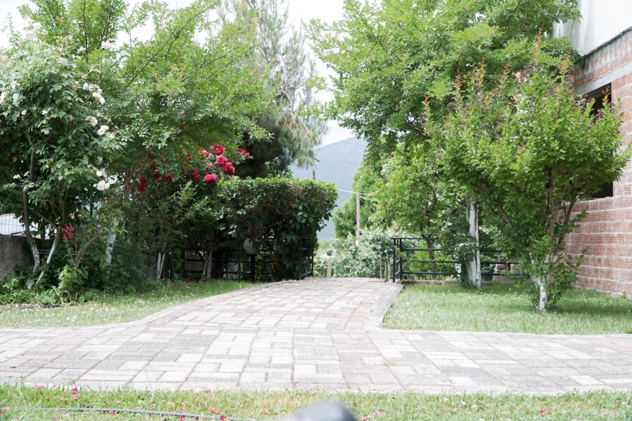 Lampros Studio Kalambaka Bagian luar foto